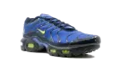 Air Max Plus (GS) CD0609 401