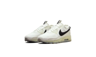 Air Max 90 - Terrascape Sail Sea Glass 2