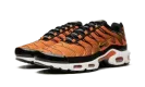 Air Max Plus DM0032 800