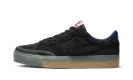 SB ZOOM POGO PLUS PREMIUM WMNS "BLACK GUM" DV5470 001