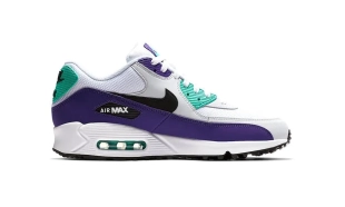 Air Max 90 - Grape 2