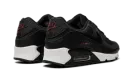 Air Max 90 "Anthracite Team Red" DQ4071 001