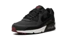 Air Max 90 "Anthracite Team Red" DQ4071 001