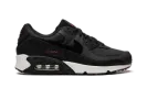 Air Max 90 "Anthracite Team Red" DQ4071 001