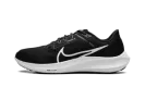 Air Zoom Pegasus 40 "Black White" DV3853 001