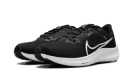 Air Zoom Pegasus 40 "Black White" DV3853 001