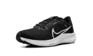 Air Zoom Pegasus 40 "Black White" DV3853 001