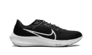 Air Zoom Pegasus 40 "Black White" DV3853 001
