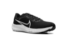 Air Zoom Pegasus 40 "Black White" DV3853 001