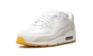 Air Max 90 "Frank Rudy" DV1734 100