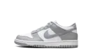 Dunk Low GS "White Light Smoke Grey" FB9109 123