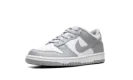 Dunk Low GS "White Light Smoke Grey" FB9109 123
