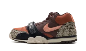 SB Air Trainer 1 "Arts-Rec - Limestone" IF0501 200