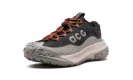 ACG Mountain Fly 2 Low Gore-Tex "Dark Smoke Grey" HF6245 002