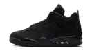Air Jordan 4 "Black Cat 2025" FV5029 010