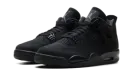 Air Jordan 4 "Black Cat 2025" FV5029 010