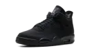 Air Jordan 4 "Black Cat 2025" FV5029 010