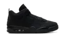 Air Jordan 4 "Black Cat 2025" FV5029 010