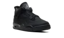 Air Jordan 4 "Black Cat 2025" FV5029 010