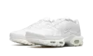 AIR MAX PLUS WMNS "Pure Platinum" DM2362 100
