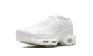 AIR MAX PLUS WMNS "Pure Platinum" DM2362 100