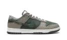 Dunk Low "Urban Landscape 2.0" HF4878 053