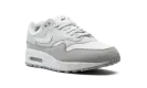 AIR MAX 1 '87 LX WMNS "Light Smoke Grey" FN0564 001