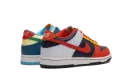 Nike Dunk Low BG "Multi Color" FQ8348 902
