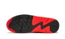 AIR MAX 90 ANNIVERSARY WMNS "Cork" 726485 700