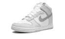 DUNK HIGH MNS WMNS "Silver Swoosh" FJ4578 100