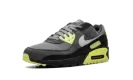 Air Max 90 "Smoke Grey Light Lemon Twist" DM0029 012
