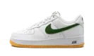 Air Force 1 Low "Color Of The Month" FD7039 101