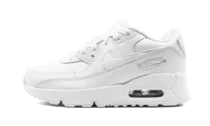 Air Max 90 CD6867 100