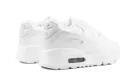 Air Max 90 CD6867 100