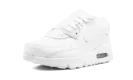 Air Max 90 CD6867 100