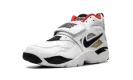 Air Diamond Turf Proto '92 "Atlanta Falcons" IB2239 100