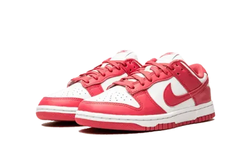 Dunk - Archeo Pink