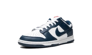 Dunk - Valerian Blue 2