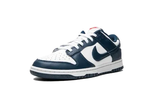 Dunk - Valerian Blue