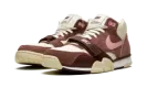 Air Trainer 1 "Valentine's Day" DM0522 201