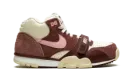 Air Trainer 1 "Valentine's Day" DM0522 201