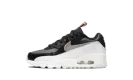Air Max 90 Leather SE PS "Off Noir Metallic Pewter" DJ0415 001
