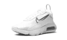 AIR MAX 2090 MNS WMNS "White / Black" CK2612 100