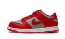 Dunk Low TD "UNLV" CW1589 002