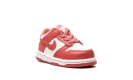 Dunk Low "Archaeo Pink" DC9562 111