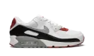 Air Max 90 "Photon Dust / Varsity Red" DO8902 001