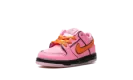 SB Dunk Low TD "Powerpuff Girls - Blossom" FZ3352 600
