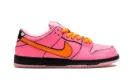 SB Dunk Low "Powerpuff Girls - Blossom" FD2631 600