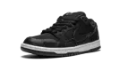 SB Dunk Low "Wasted Youth" DD8386 001