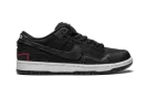 SB Dunk Low "Wasted Youth" DD8386 001
